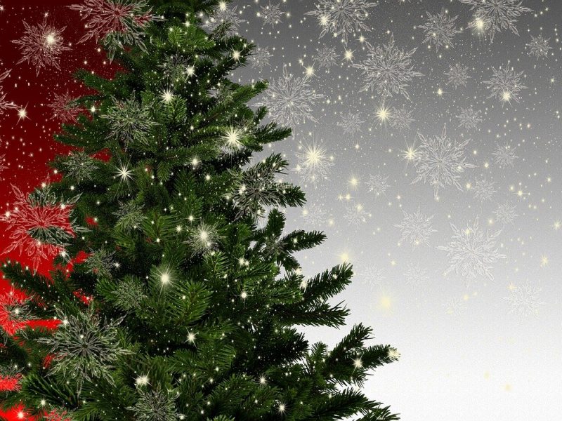 Choinka świąteczna – jaką wybrać i jaki stojak do niej dobrać?